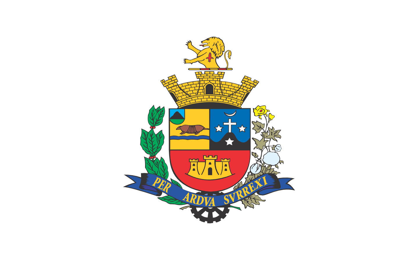 Bandeir Oficial do Município de Tatuí